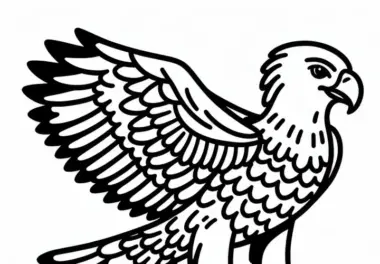 Weißbauchseeadler – Ausmalbild für Vögel in Asien