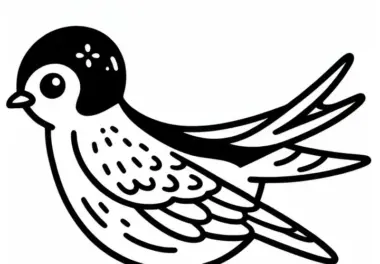Weissbrustschwalbe (Barn Swallow): Vogel aus Asien – Ausmalbild kostenlos