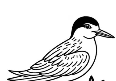 Weißflügelseeschwalbe – Ausmalbild des Vogels aus Afrika kostenlos zum Download