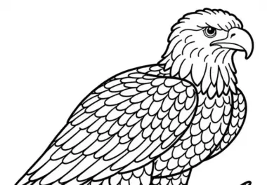 Weißkopfseeadler als Ausmalbild für Kinder in Nordamerika