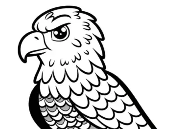Weißkopfadler Vogel Europa Malvorlage Kostenlos