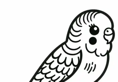Ausmalbild eines Wellensittichs – Budgerigar aus Australien und Ozeanien