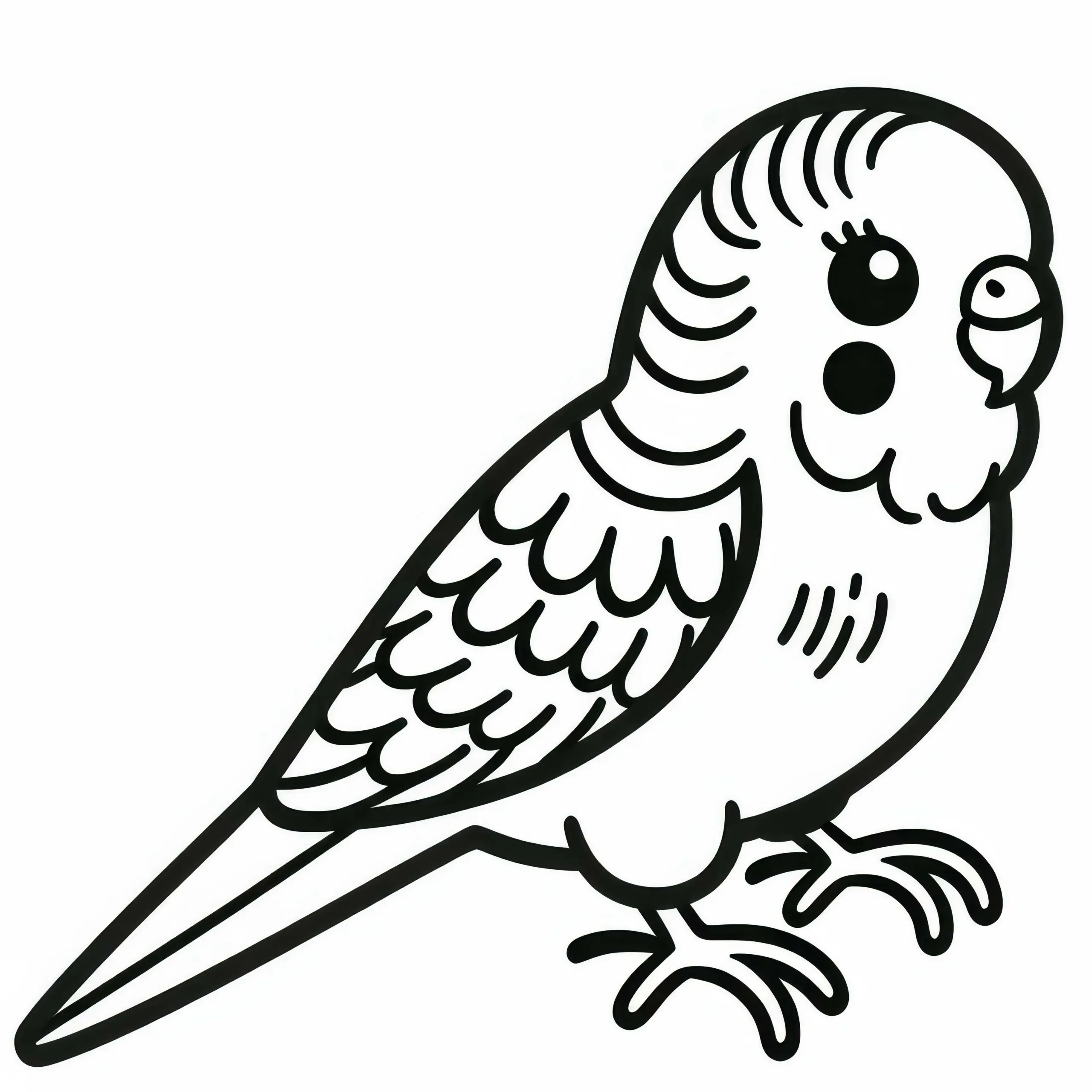 Ausmalbild eines Wellensittichs – Budgerigar aus Australien und Ozeanien