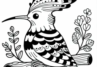 Wiedehopf Vogel Europa Ausmalbild Gratis