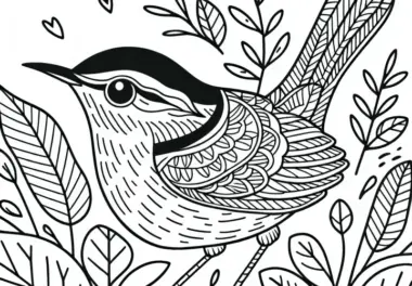 Zaunkönig (Carolina Wren) Vogel aus Nordamerika – Ausmalbild kostenlos